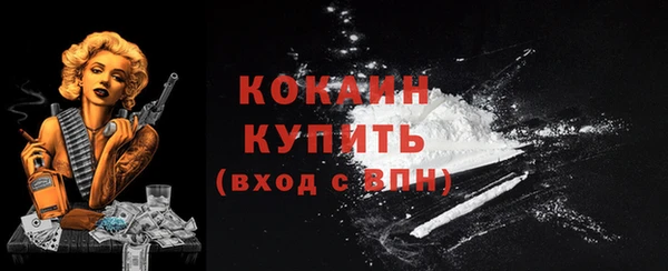 гашик Балахна