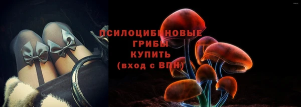трава Арсеньев