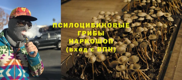 трава Арсеньев