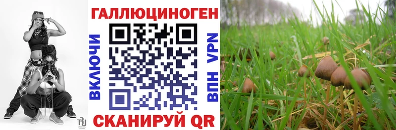 цены   Певек  Галлюциногенные грибы Cubensis 